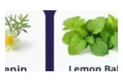 White flower and powder illustration used for apigenin