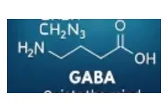 Molecular illustration used for GABA in the supplied ingredient graphic